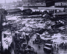 The Great Molasses Flood